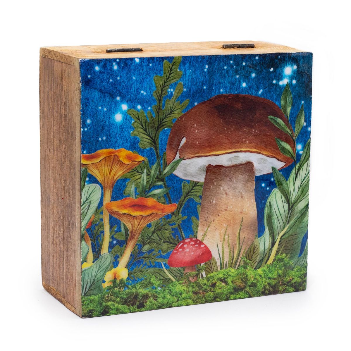 Caixa quadrada grande 15x17,5x8 cm - Desenho cogumelo verde-azulado